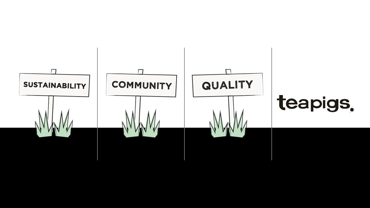 Meet Our Suppliers – Teapigs