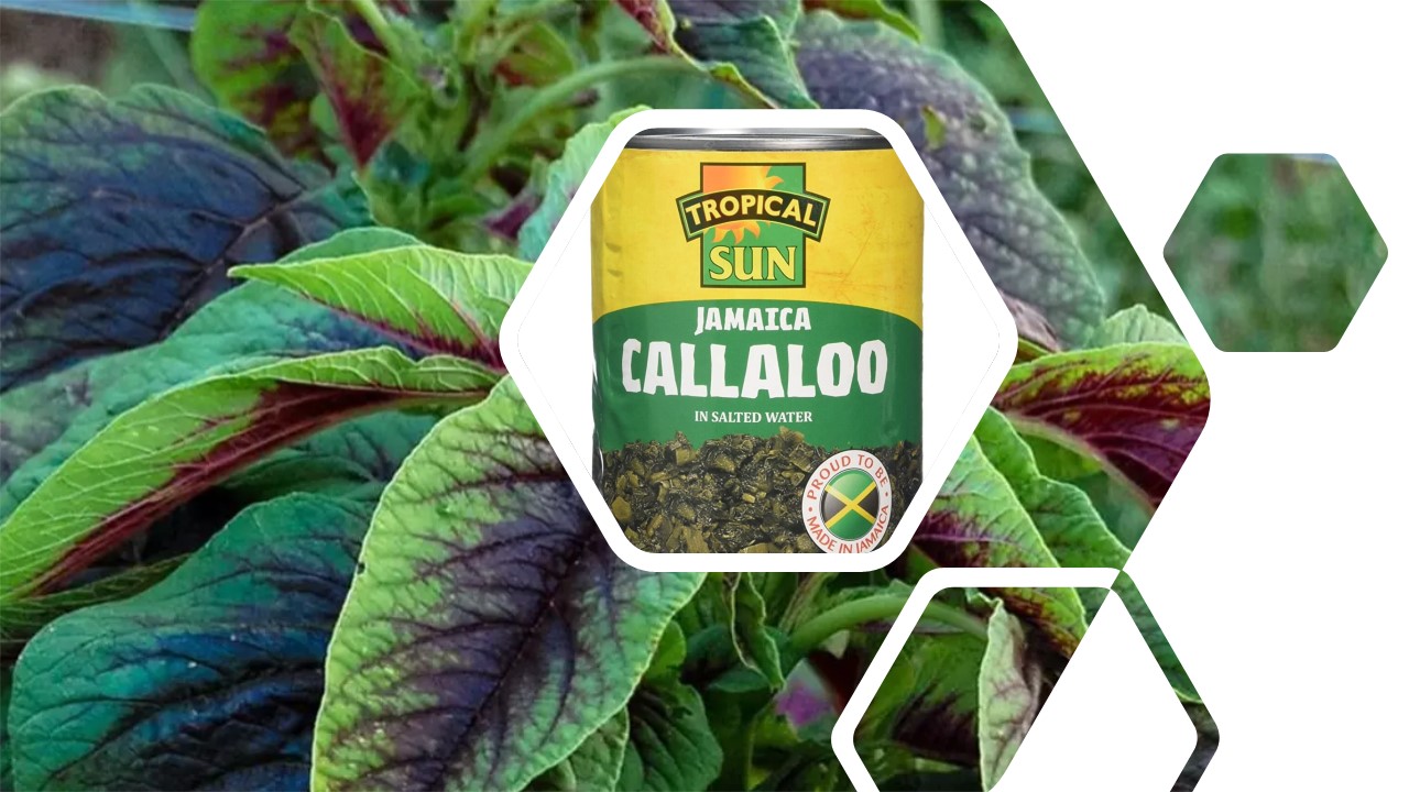 Product Snapshot – Tropical Sun Callaloo