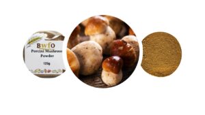 Product Snapshot – Porcini Mushroom Powder